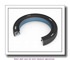 skf 240x300x25 HDS1 R Radial shaft seals for heavy industrial applications
