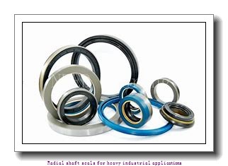 skf 590x630x20 HDS1 R Radial shaft seals for heavy industrial applications