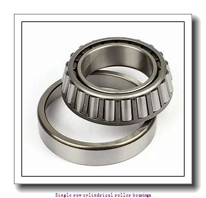 100 mm x 180 mm x 34 mm  NTN NJ220EG1 Single row cylindrical roller bearings