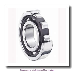 75 mm x 130 mm x 31 mm  NTN NJ2215ET2C3 Single row cylindrical roller bearings