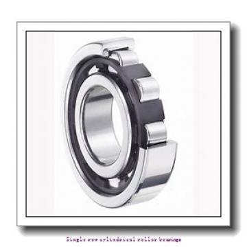 100 mm x 180 mm x 46 mm  NTN NJ2220C3 Single row cylindrical roller bearings