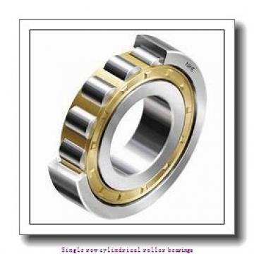 100 mm x 180 mm x 34 mm  NTN NJ220 Single row cylindrical roller bearings