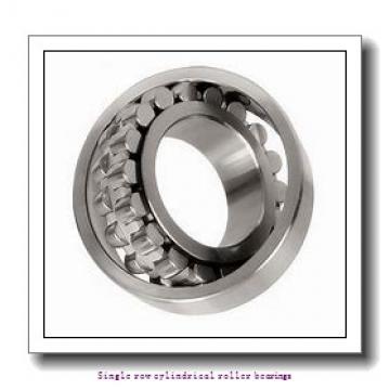 105 mm x 190 mm x 36 mm  NTN NJ221C3 Single row cylindrical roller bearings