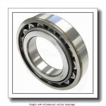 120 mm x 215 mm x 58 mm  NTN NJ2224EG1 Single row cylindrical roller bearings