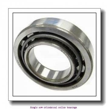 100 mm x 180 mm x 46 mm  NTN NJ2220 Single row cylindrical roller bearings