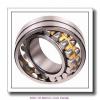 110 mm x 180 mm x 69 mm  SNR 24122.EAW33 Double row spherical roller bearings